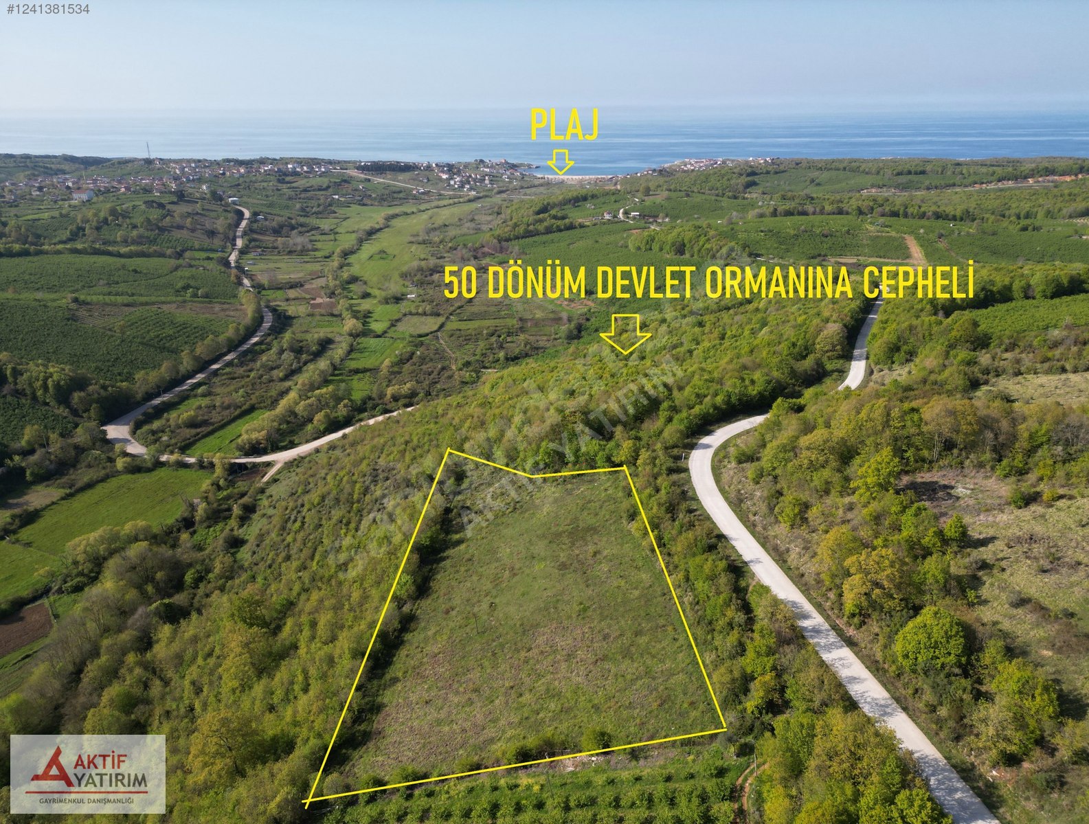 BAĞIRGANLI'DA VADİ MANZARALI BÜYÜK ORMANA CEPHELİ 10 DÖNÜM TARLA - KOCAELİ KANDIRA fotoğraf 49